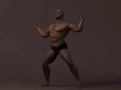 Male Base Muscle Rig Low-poly 3D model