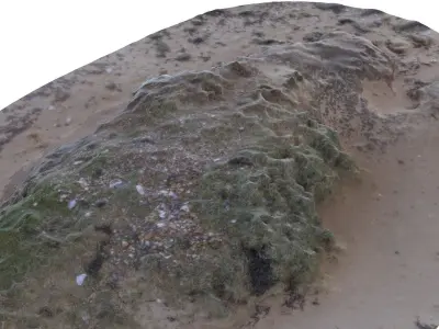 Beach Mud Mound - High and Low Poly versions Low-poly 3D model