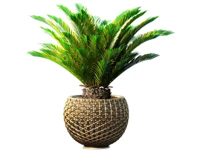 Decorative Cycas palm in a golden vase in Art Deco style 3D model