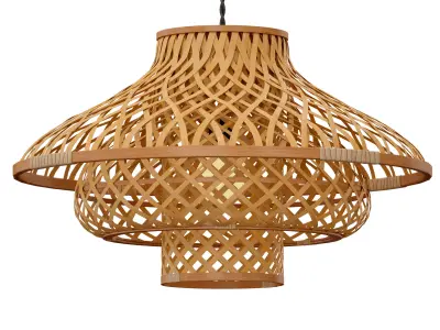 Chandelier Light fixture Round Wicker Rattan Lampshade 3D model