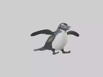 Galapagos Penguin sliding model Low-poly 3D model