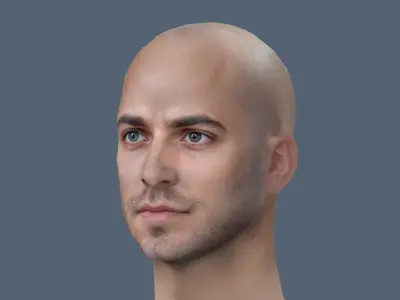 Male head Realistic Perfect Head  Low-poly 3D model
