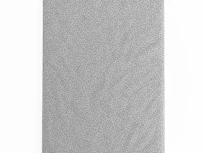Fluffy rectangular carpet 3D model