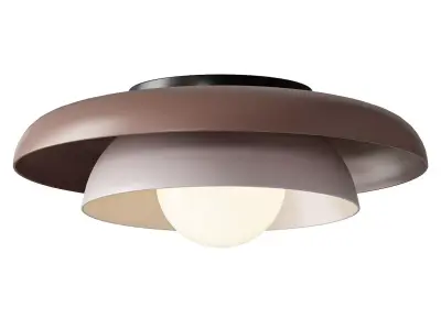 Lucia Living Neso Metal Saucer Flush Mount Ceiling Light 3D model