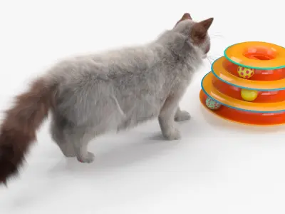  Circular Cat Toy Tower with Moving Balls Fur Animated Rigged 