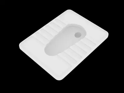 Indian Toilet 3D model