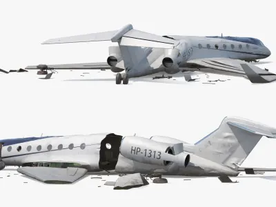  Private Jet Aircraft Wreckage Crashed 