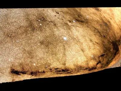 Pipe Nebula 3D model