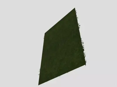 High Precision Ivy Plant Green Wall  3D model