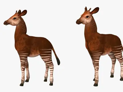 Okapi  rig  high-poly  textured 3D model