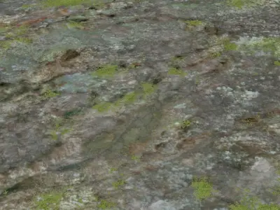 2 Wooden Moss set 3D model