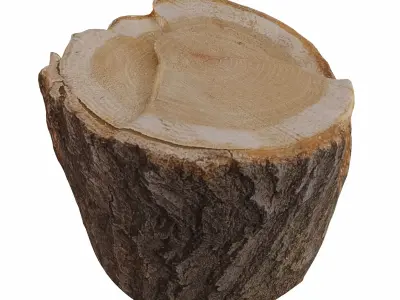 trunk 103 3D model
