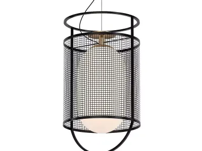 Parachilna Denglong 3D model