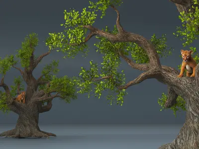  Puma Cub on Ancient Twisted Tree Fur 