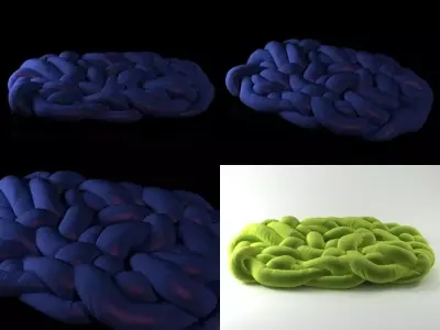 Boa brain made of different colored yarns 3D model