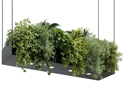 Rectangle pot light pendant plant light hanging Indoor Plant 650 3D model