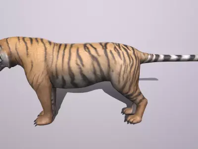 Tiger Low-poly 3D model