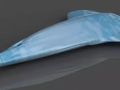 Behemoth whale 3D print model