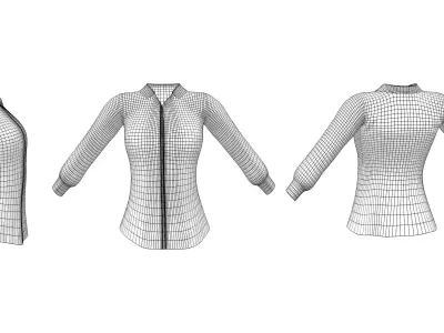 Ladies Over Pants Classic Shirt Low-poly 3D model