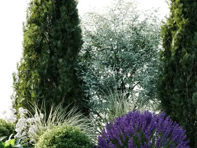 Alpine Hill  3D model