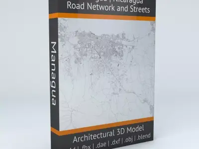Managua Road Network and Streets 3D model