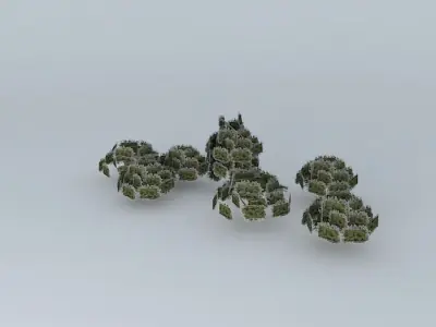 Trees street Andes Free 3D model