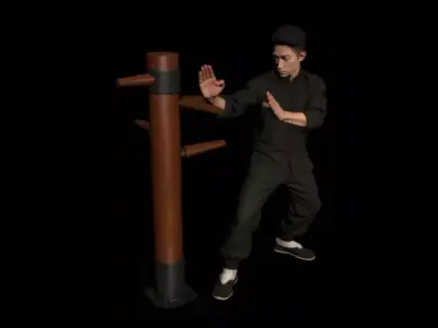 Wing Chun  3D model