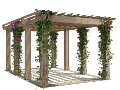 Pergola design plans 3D model