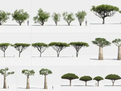  Plants Pack: Africa Trees (+GrowFX) 