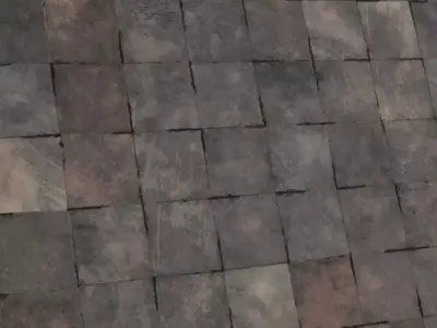 Dark Brown Stylized Organic Shell Pattern PBR Seamless Texture