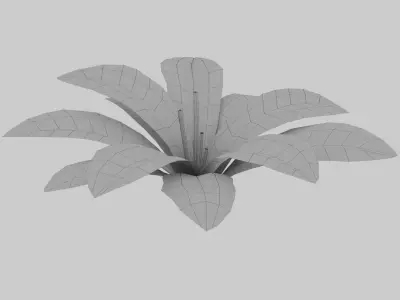 Fern Matteuccia struthiopteris  Low-poly 3D model