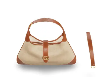 Bag Gucci 3D model