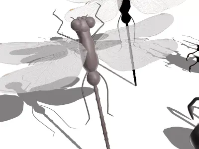 Insect Collection Dragonfly Beetle Spider 3D model