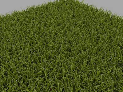Grass 3D model