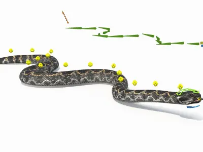  Rattlesnake Attack Animated Rigged 