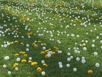 dandelion field 3D model