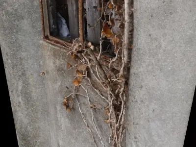 Window overgrown with plants 3D model