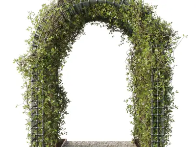 Ivy Plant Pergola - Outdoor Green Wall and Fence set 244 3D model