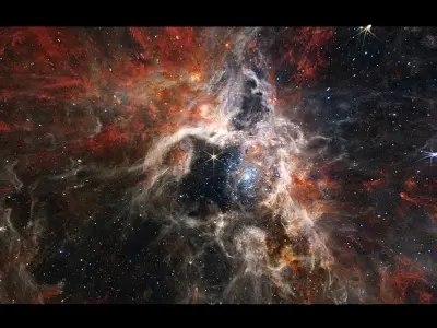 Tarantula Nebula 3D model
