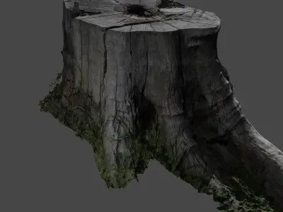 Treetrunkbase tree stump with grass 3D model