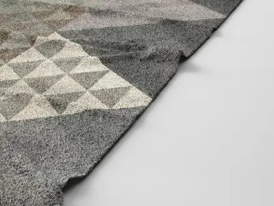 Contemporary Carpet - Rug 3D model