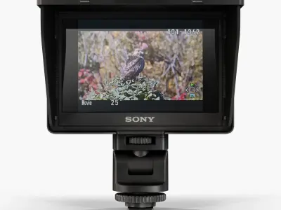 Sony CLM-V55 on-camera monitor Low-poly 3D model