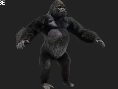  Mountain Gorilla Fur Rigged 3D 