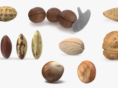 Nuts Collection 10 