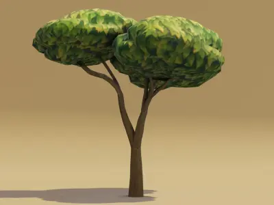 Cartoon Acacia Tree 3D Model Low-poly 3D model