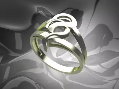 Plain Light Women Ring 3D print model