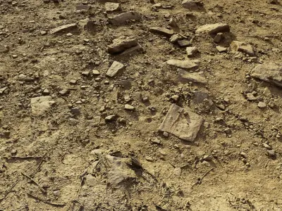 rockpathscan06102024 3D model