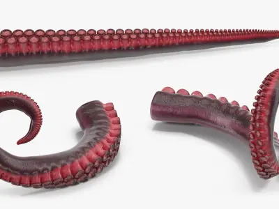  Octopus Tentacle Rigged for Cinema 4D 