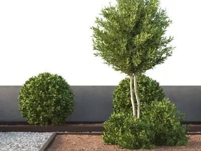 Environment with Plants Set 01 3D model