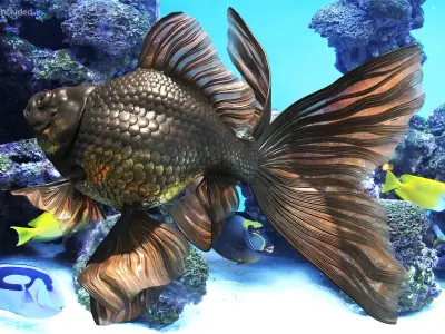  Freshwater Fish Rigged for Cinema 4D Collection 2 